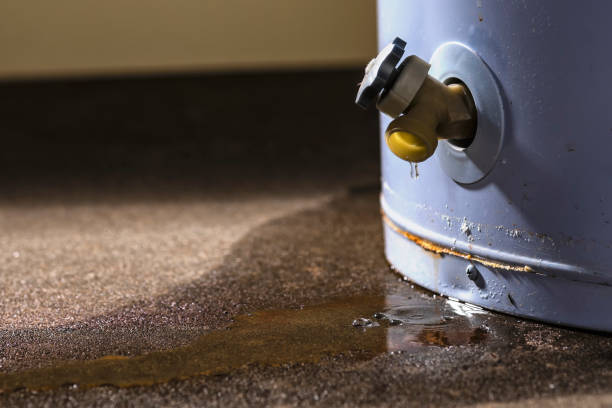 Best Flooded house restoration  in Middleport, NY