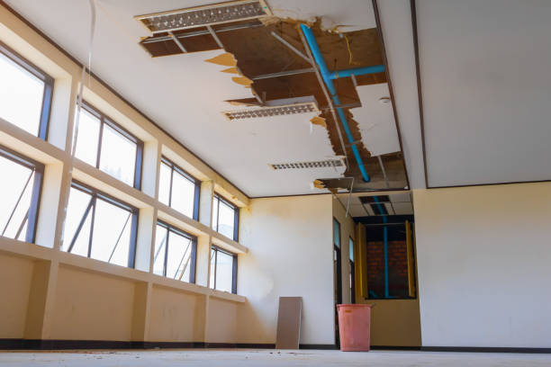 Best Professional water damage repair  in Middleport, NY