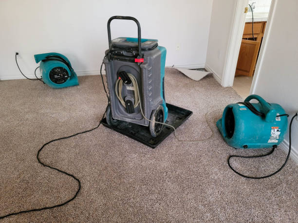 Best Sewage cleanup and water damage restoration  in Middleport, NY