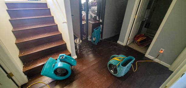 Best Water damage repair service  in Middleport, NY