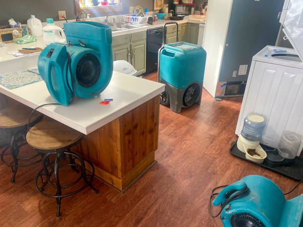 Best Commercial water damage restoration  in Middleport, NY