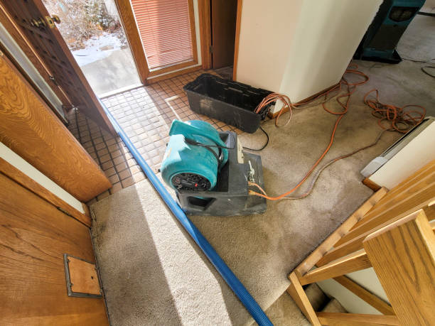  Middleport, NY Water damage restoration Pros