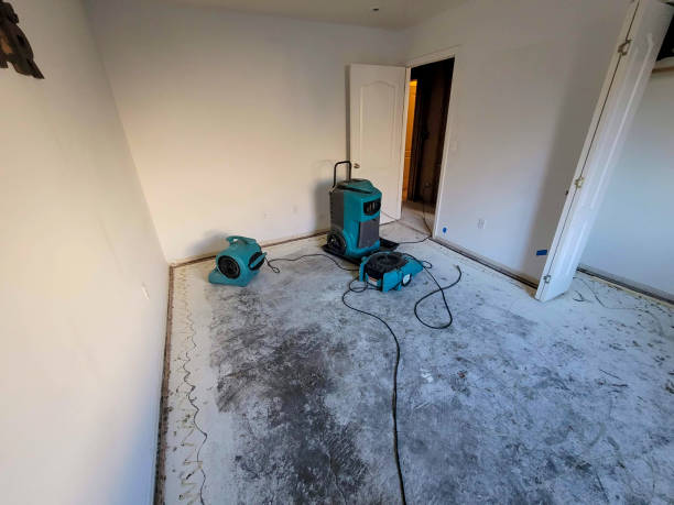 Sewage cleanup and water damage restoration in Middleport, NY