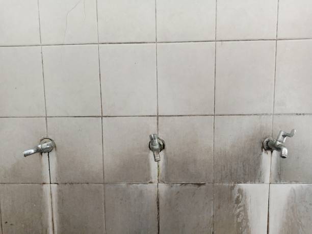 Best Emergency water damage restoration  in Middleport, NY