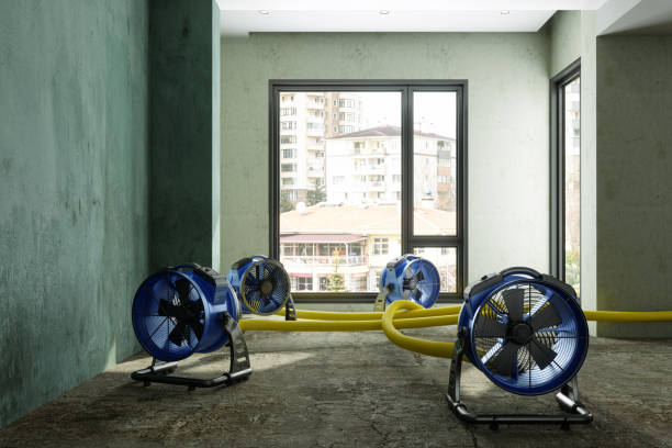 Best Water damage repair service  in Middleport, NY
